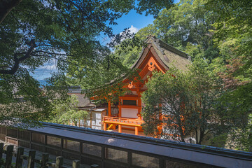 京都亀岡 出雲大神宮 緑に包まれる本殿