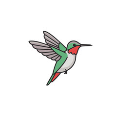 Fototapeta premium Colorful Hummingbird in Flight