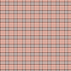 Soft Plaid Fabric Texture in Light Tones