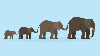 Fototapeta premium Elephants family. Vector illustration in flat style. Isolated on blue background.