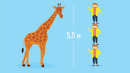 Vector illustration of three people as tall as a giraffe. Flat style. Isolated on a blue background.