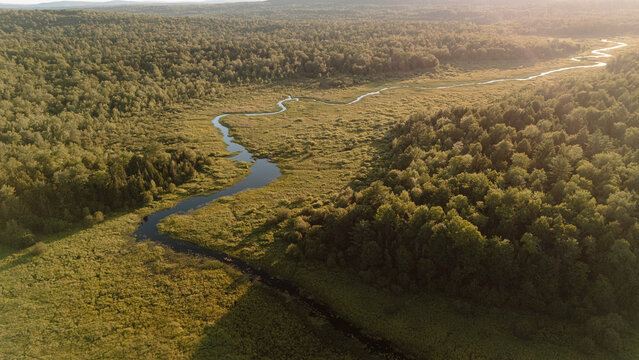view of meandering waterway through marsh and swamp in Maine