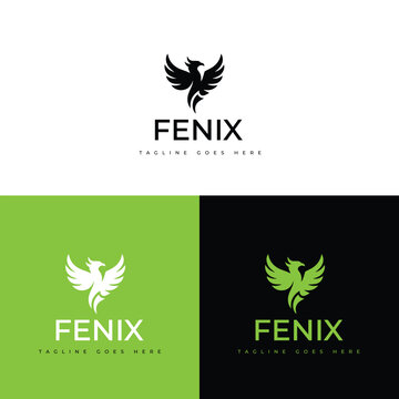 Fenix logo design featuring a stylized phoenix bird