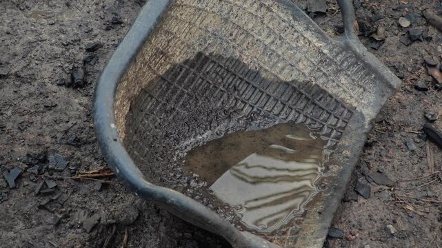 Rain water in clam shell shaped basket.