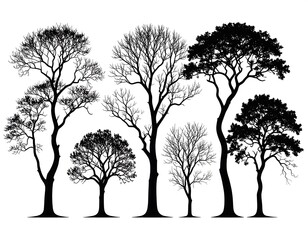 Obraz premium Silhouettes of various trees against a white background
