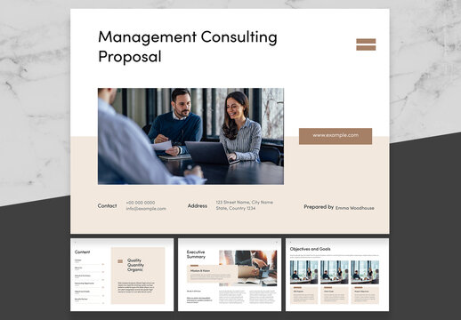 Brown And Black Management Consulting Proposal