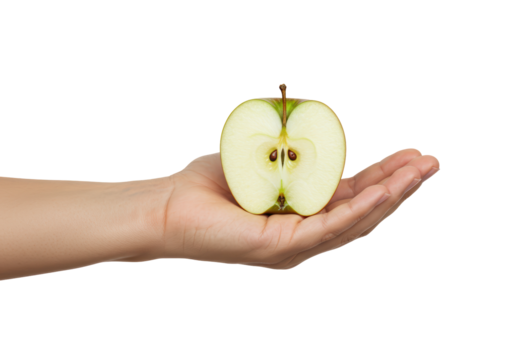 Isolated half of a green apple in hand, fresh healthy fruit cut in a cross section view