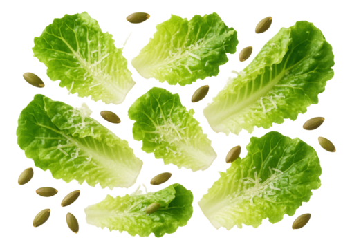 Romaine hearts torn into chunks, with grated parmesan and pumpkin seed scatter.