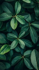 Close-up view of lush green leaves densely packed together