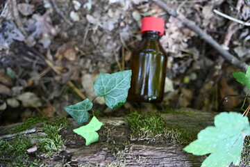A small brown glass bottle with a red cap lies on the forest floor among green ivy leaves, moss, and dry foliage. Concept of ecology, natural medicine, and environmental pollution.