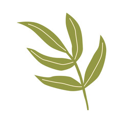 green leaves isolated on white background