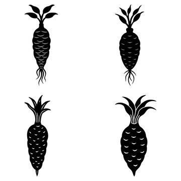 Four stylized black and white vegetable illustrations with leaves and root details in a pattern design