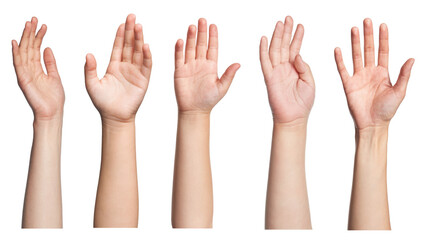 human hands collection on white background