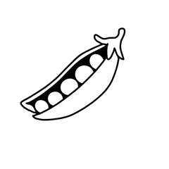 vector illustration of a peas