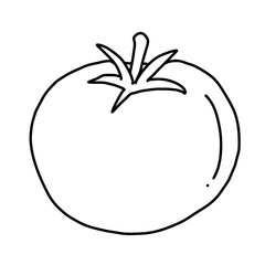 Tomato vector illustration