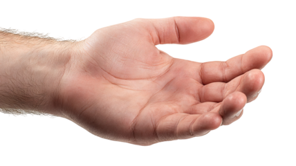 Isolated human hand holding gesture on transparent background — high-resolution PNG cutout for product mockups, packaging layouts, app UI previews, e-commerce thumbnails and social media creative