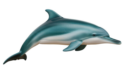 Isolated Dolphin