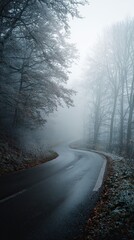 Obraz premium Misty forest road winds through a cold, wooded landscape