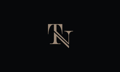 TN,NT,T,N,N,T abstract, letters, logo, monogram, style, symbols, ambitions, icons, 
