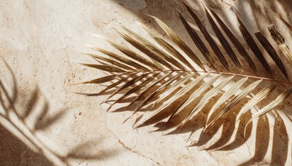 Palm frond casts shadow on a textured, sunlit surface. Delicate, earthy tones create a warm, natural aesthetic