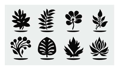 Fototapeta premium Elegant Black and White Botanical Illustrations for Modern Design Projects