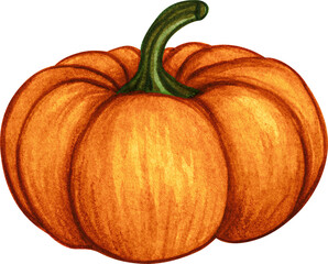Watercolor pumpkin