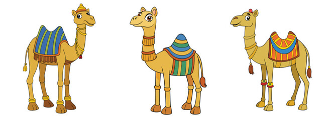 Set of Decorated Desert Camel Vector Illustrations