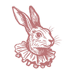 Rabbit in ruff collar engraving sketch black and white vector illustration