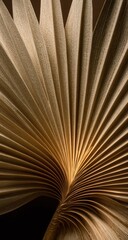 Detailed, golden fan-shaped palm leaf texture in close up, creating a radial, natural pattern on a dark background