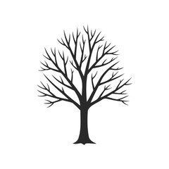 Obraz premium Silhouette of leafless tree with bare branches in winter