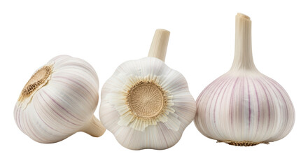 Isolated Garlic Bulbs