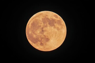 Obraz premium A full, luminous orange-hued moon dominates a dark night sky.
