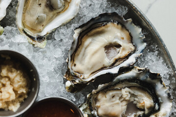 Oysters - Closeup 3