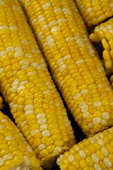 Close-up of cooked corn cobs