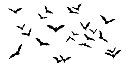 bats flying for Halloween designs backgrounds