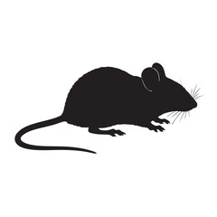 mouse on a white background