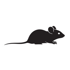 mouse on a white background