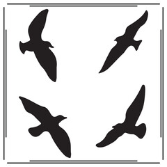 Silhouette of Birds in Flight - Black and White Animal Icons - Vector Illustration for Wildlife, Nature, and Freedom Projects
