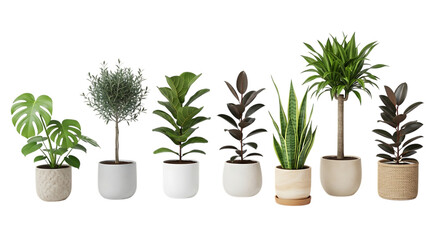 Obraz premium Assortment of seven potted houseplants including Monstera Fiddle Leaf Fig and Snake Plant isolated on a transparent background