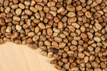 Edible Horse Garden Beans Vicia Faba Macro Top View