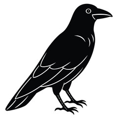 black raven line art vector icon