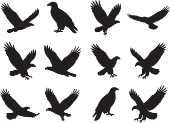 Set of Solid Black Eagle Silhouettes in Different Dynamic Positions