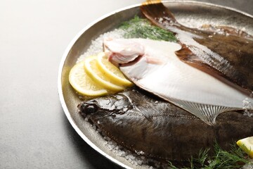 Fresh flounder fish, salt, lemon and dill on grey textured table, closeup. Raw seafood