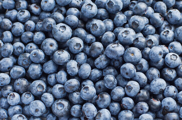 Fresh blueberry background texture. Close up.