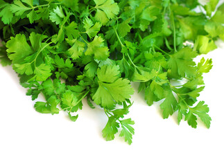 Parsley isolated on white background