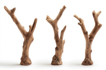 Three small, dry, branching tree limbs stand isolated on white