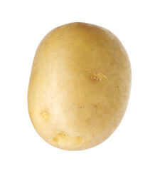 One whole ripe potato isolated on white