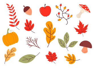 Obraz premium Autumn Vector Set. Vector elements leaves isolated on white background. 