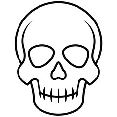 skull head bones line art vector icon