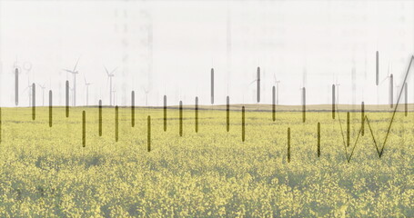 Displaying faint data bars and line graph over yellow crop field at farm with wind turbines